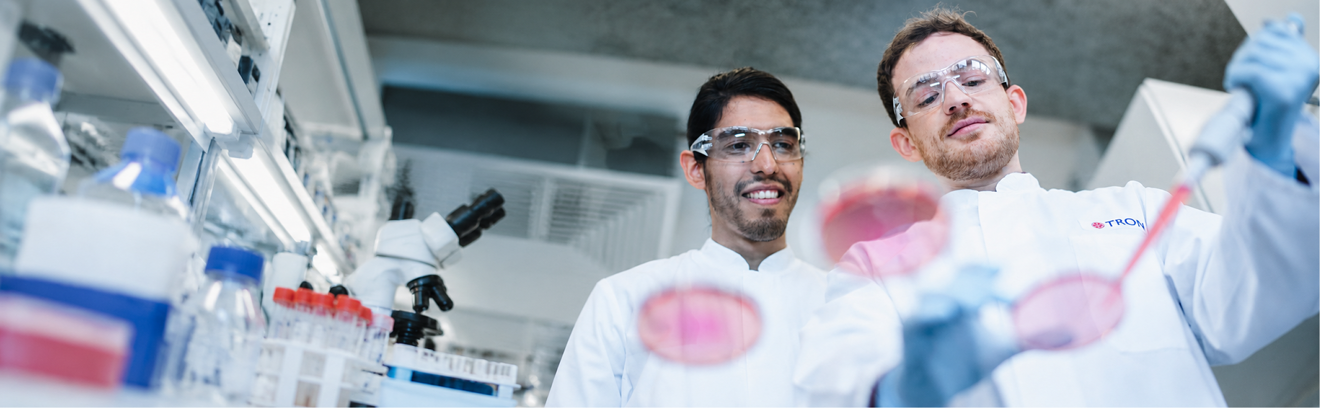 Tissue & Cell Analytics