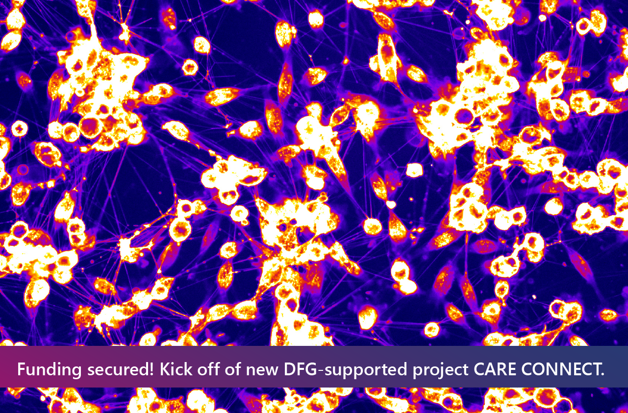 eliana-dfg-grant-care-connect.png